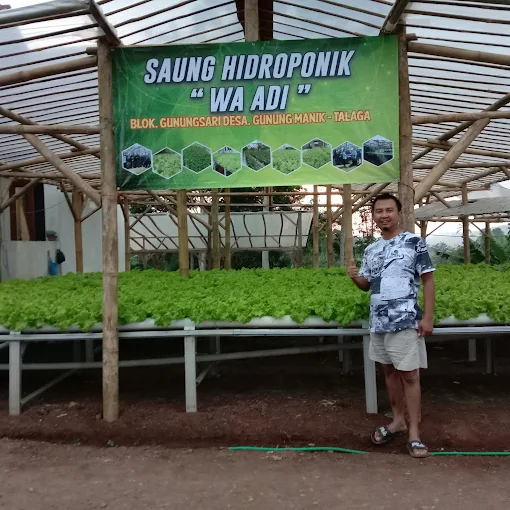 Galeri Saung Hidroponik